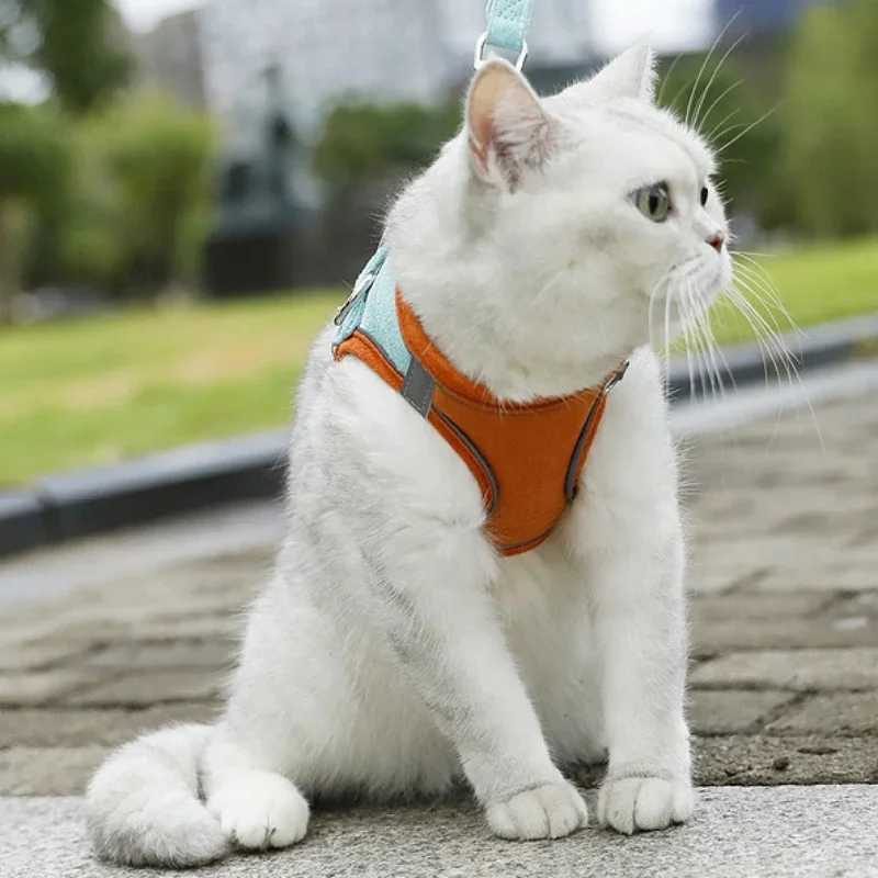 Suede Pet Reflective Dog Harness Dog Training Leashes Walking Pet Leash Long Lanyard Traction Rope Cat Chest Strap Vest LeashT250318