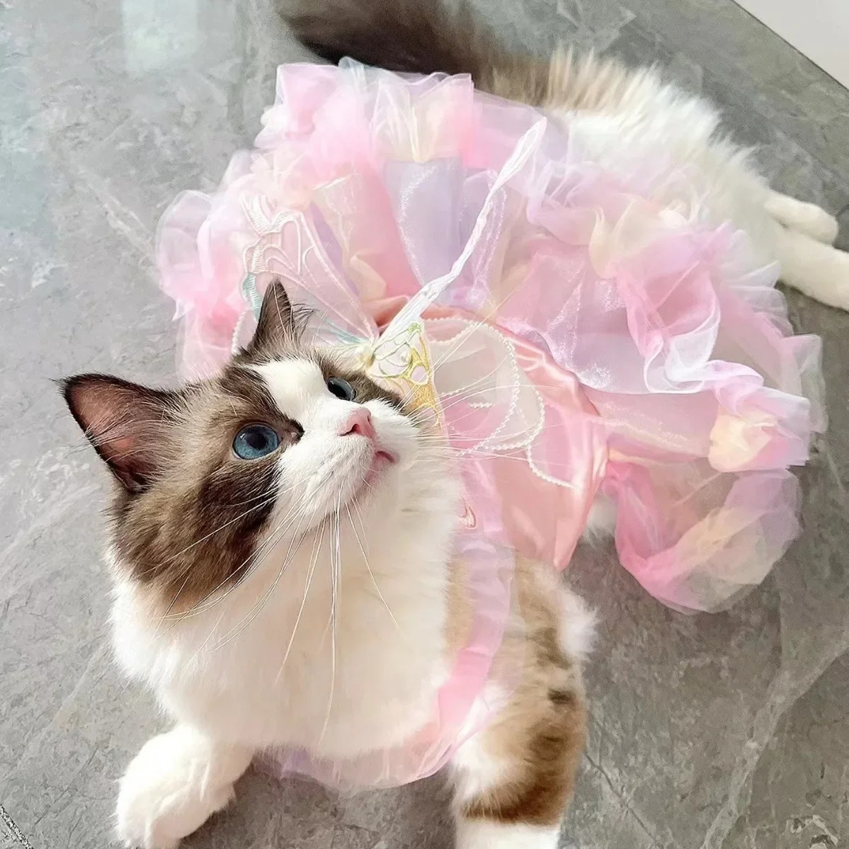 Pet Princess Dress Dog Summer Wedding York Chihuahua Poodle Cat 250318