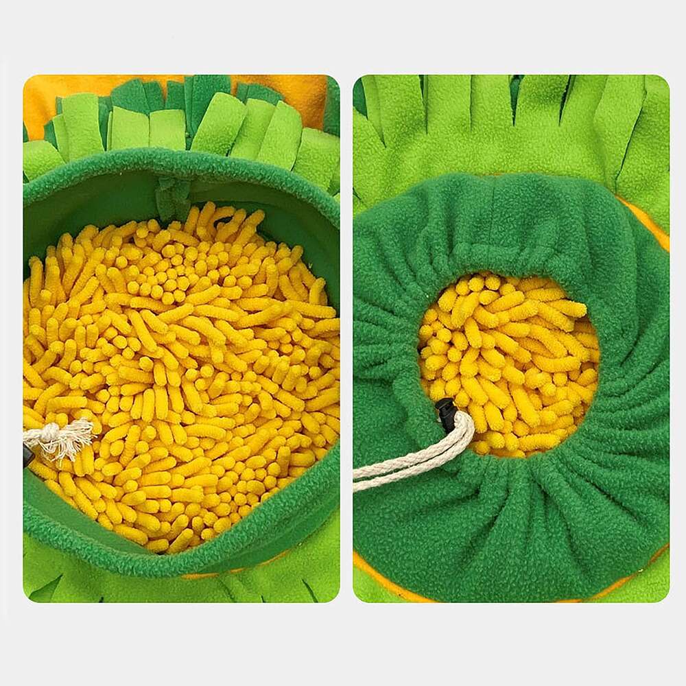 DHpet Dog Sniffing Toy Carrot Sound Fun Food Storage Puzzle Slow Food Sniffing Pad