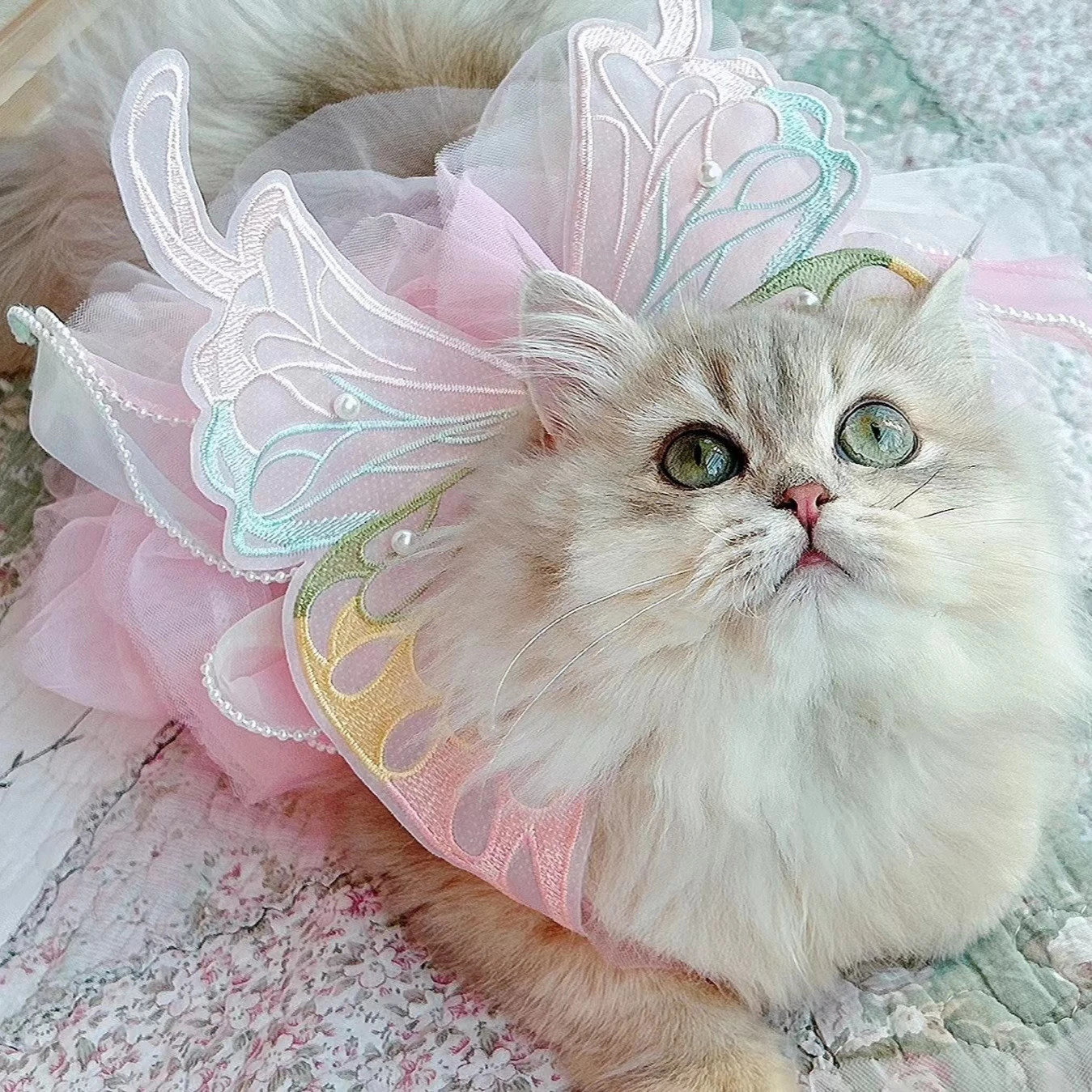 Pet Princess Dress Dog Summer Wedding York Chihuahua Poodle Cat 250318