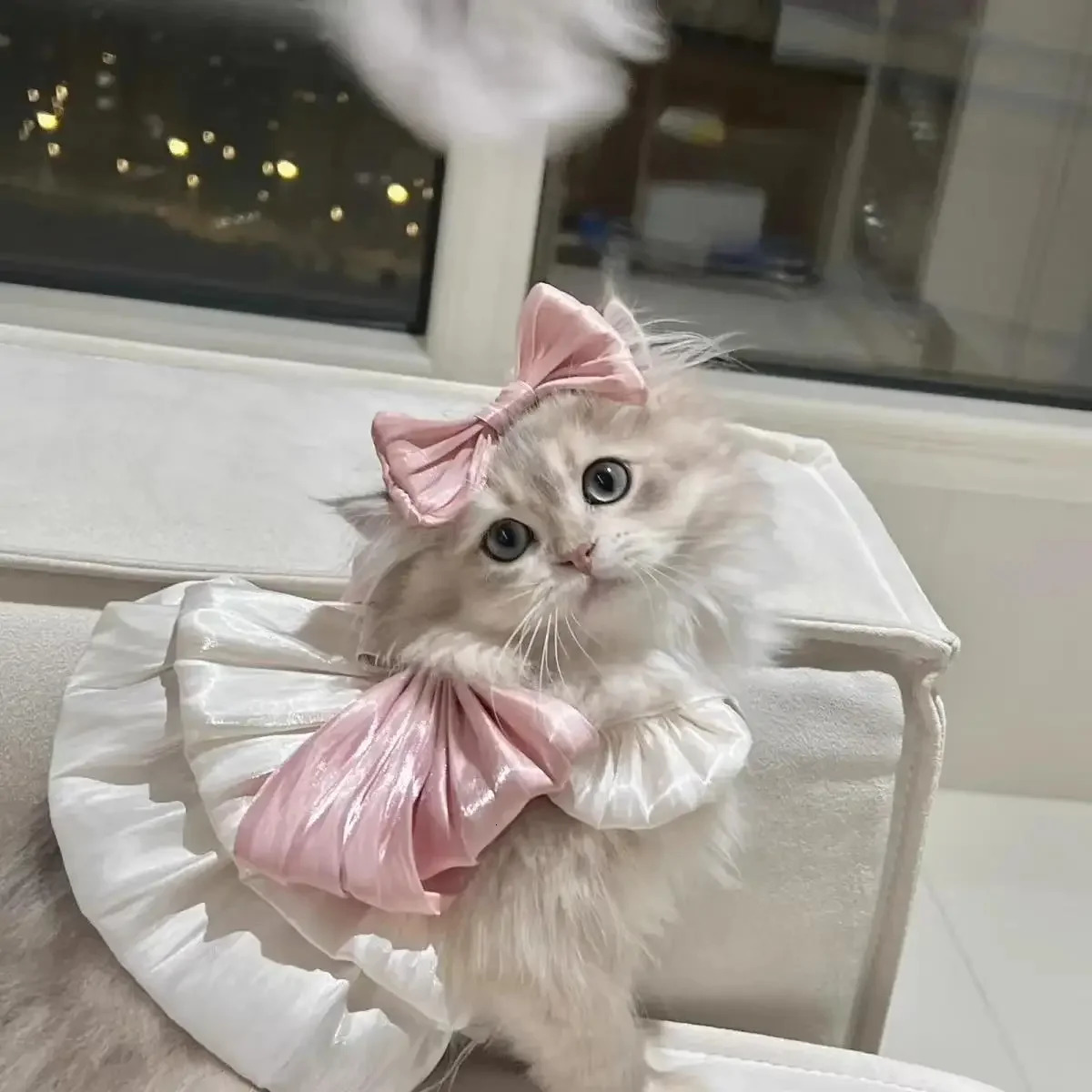 Pet Spring and Summer Flow Yarn Skirt Cats Dogs Pets Breathable Out Traction Thin Section of The Sun Dress Dog White 250318