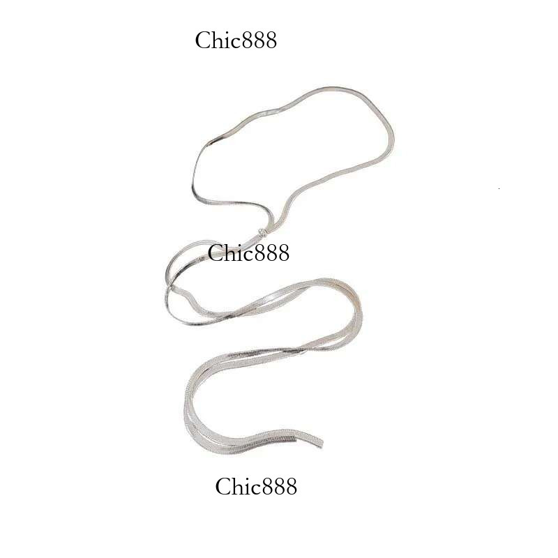 Fashion Metal Long Snake Bone for Women Hip Hop Sier Color Pull Sweater Chain Necklace Jewelry 2025 New