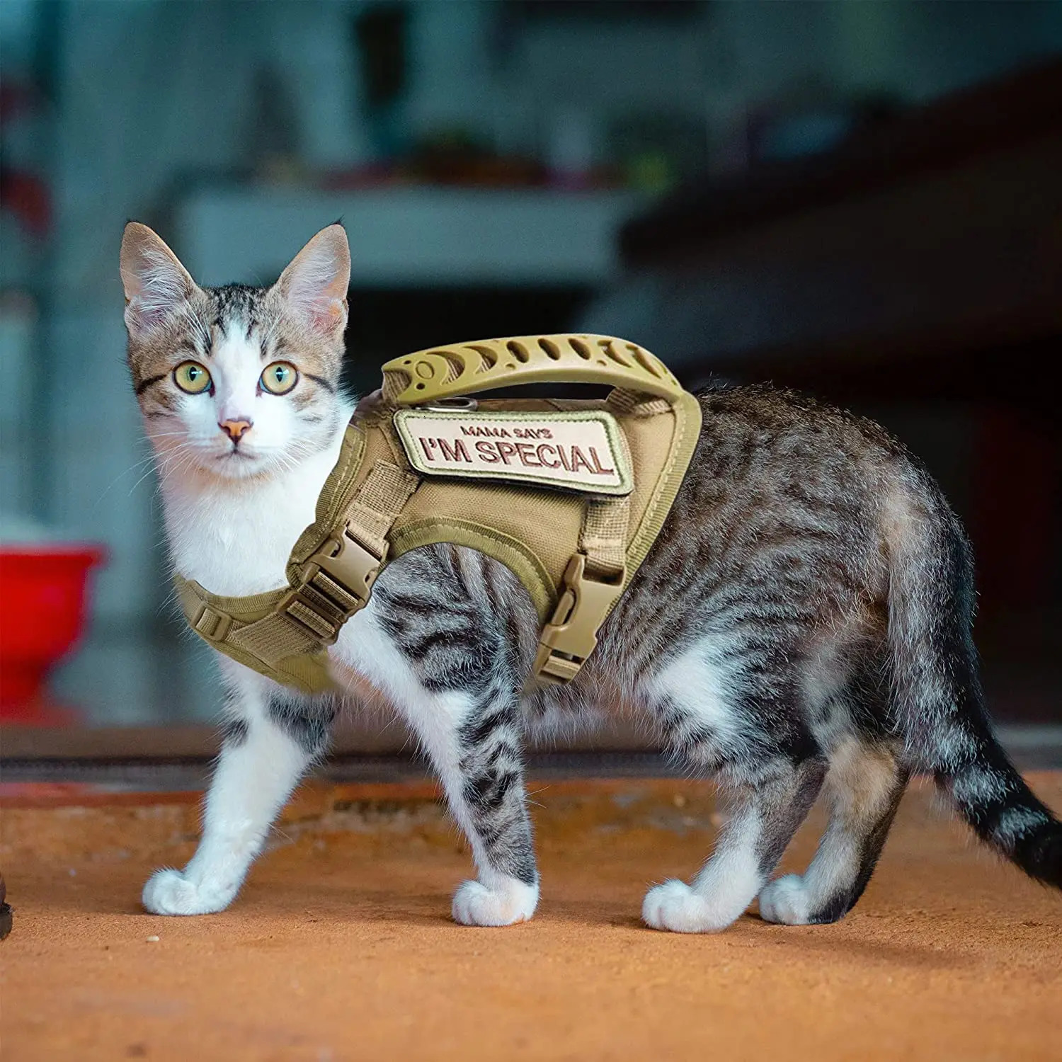 Tactical cat harness for hiking escape adjustable pet vest with soft mesh and control handle suitable large cats small dogs 250318