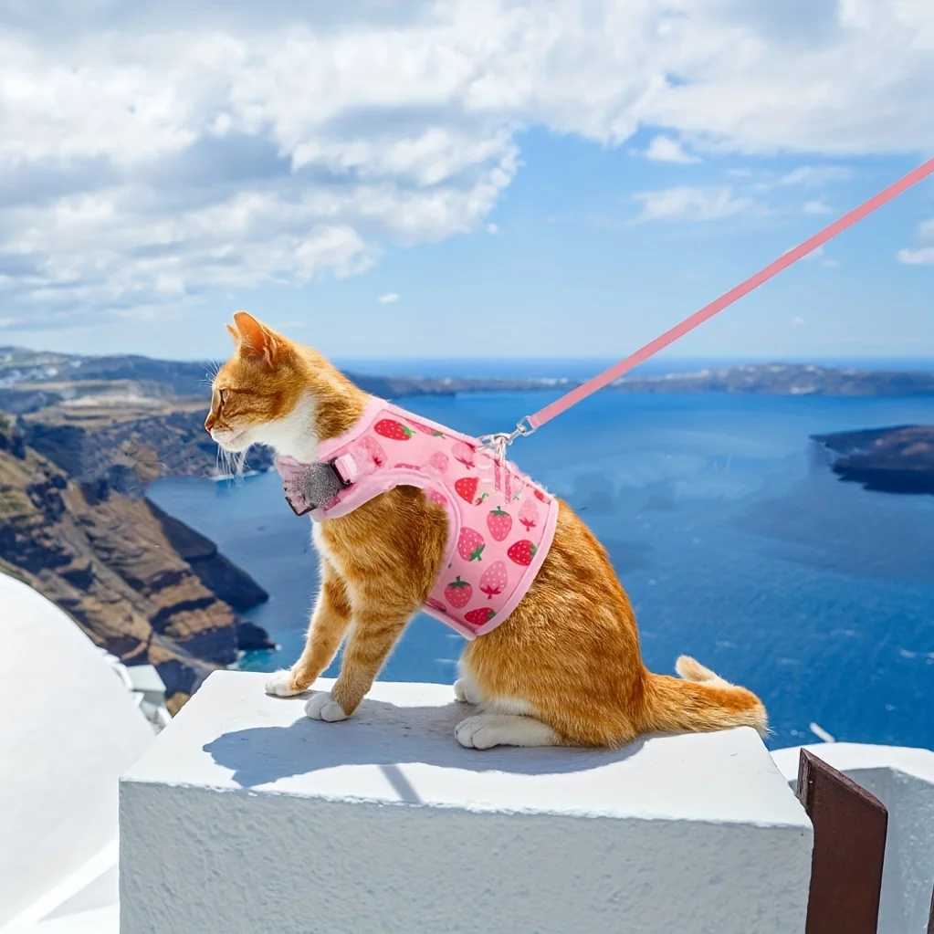 3-piece set of soft cat harness and belt collar pet harness suitable for walking cats dogs and small petsT250318