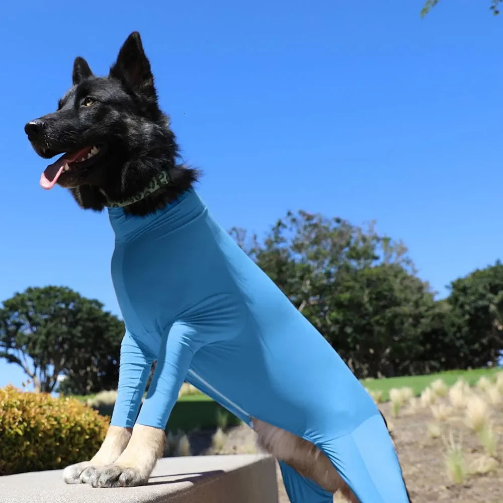 Dog Onesie for postoperative pet surgery recovery set anti shedding tight fitting long sleeved clip on pajamas dogs 250318