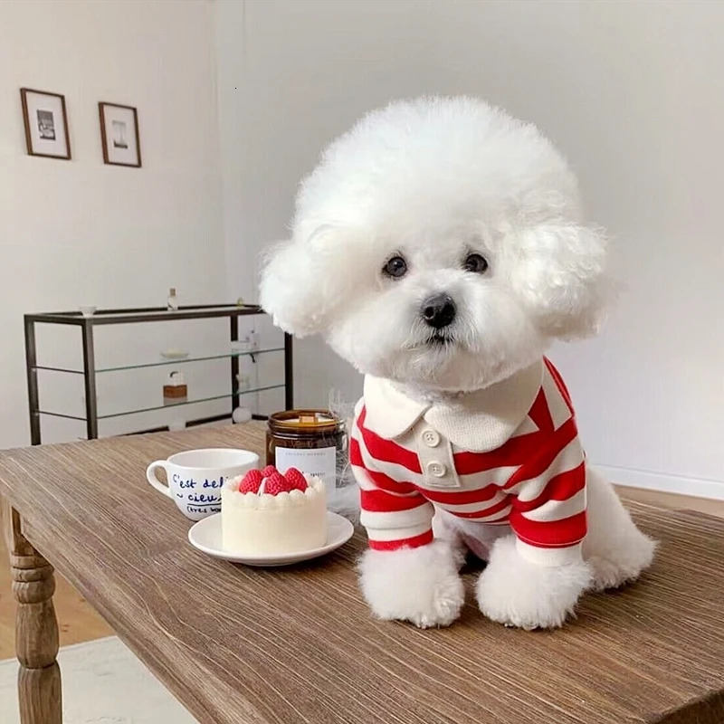 Summer dog polo shirt puppy clothing Bichon Frise Chihuahua striped sweater small and mediumsized cooling vest 250318