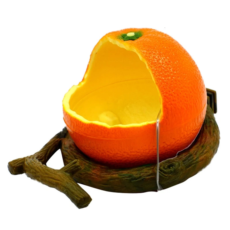 Food grade drinking bowl container feeder Interesting fruit shaped bird parrot Orange citrate for Flat noodles pet supplies 250318
