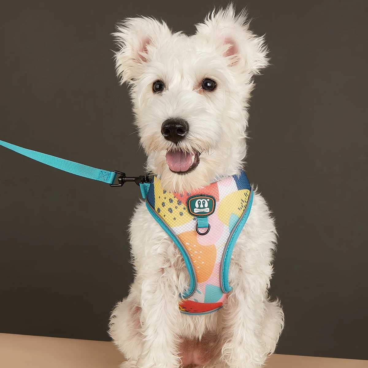 Newly launched adjustable soft mesh stylish design pet harness and belt setT250318