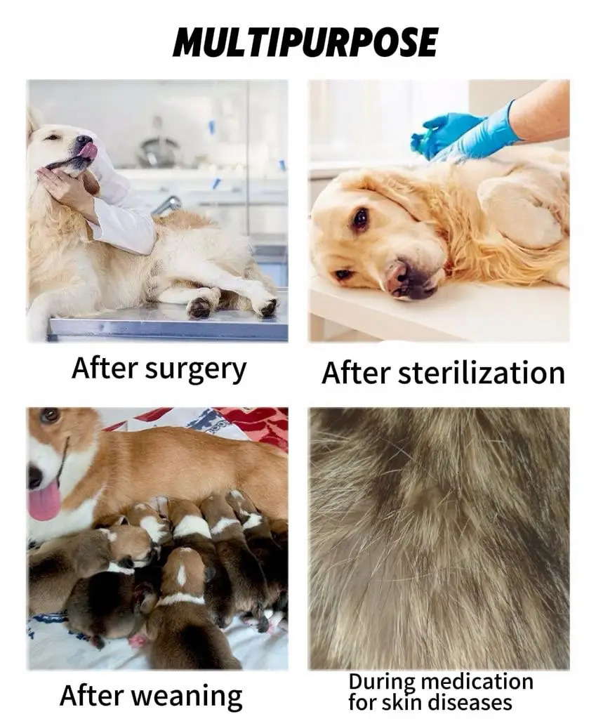 Surgery Recovery Suit Anti Licking Wounds Pet Care Clothes After Supplies For Dog Accessories WWO66 250318