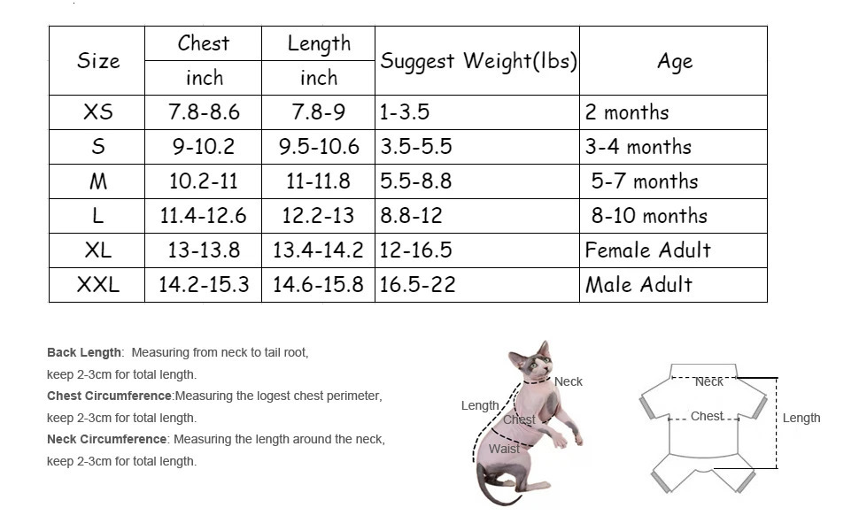 Sphinx cat pet clothing soft and warm hoodie sports style cotton hairless Devonshire winter 250318