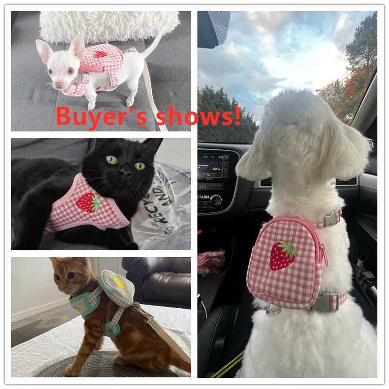 Cute embroidery pattern dog belt bag function pet cat collar sling flower puppy kitten traction sling outdoor dog walkingT250318