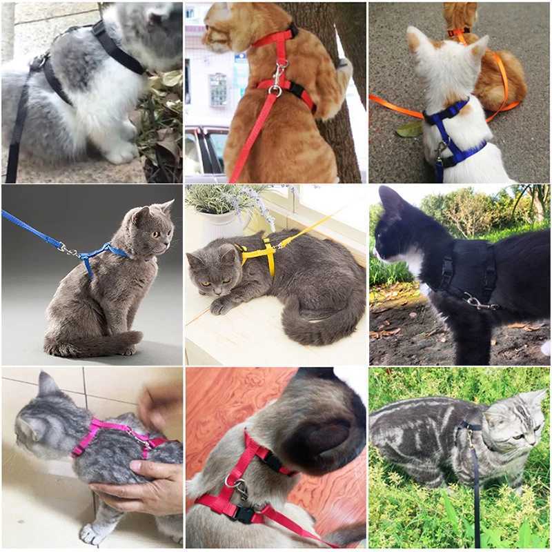 5 adjustable pet cat collars in 5 colors suitable for cats comfortable nylon rabbits kittens Kedi seat belts and pet accessoriesT250318