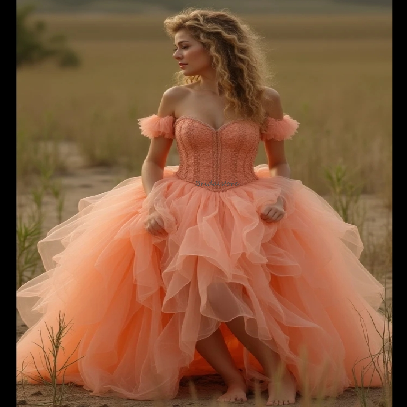 Whimsical Woodland Peach Prom Dress Off Shoulders Ruffles Tulle Bohemian Evening Dress Elegant Steampunk Bustle Party Birthday Dress 2025 Vestio De Fi