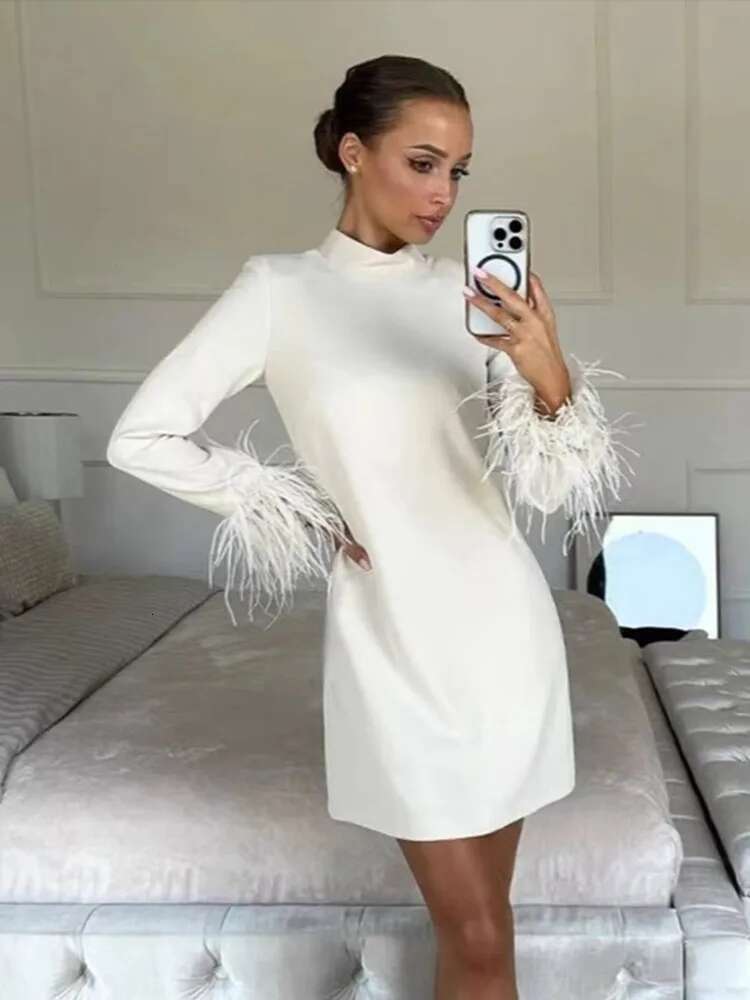 dongdumaoyi Chic Feather Decor Women Dresses Elegant High Neck Full Sleeve Slim Female Mini Dress Fashion Evening Lady Hip Package Robe