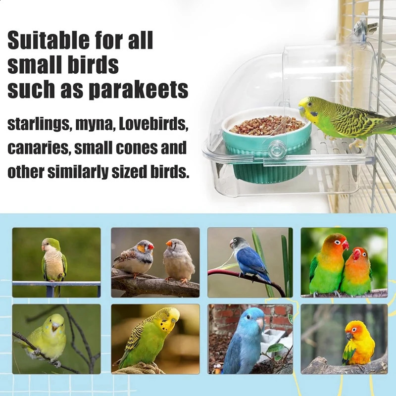 Bird cage with bird feeder no chaos pet bath 250318