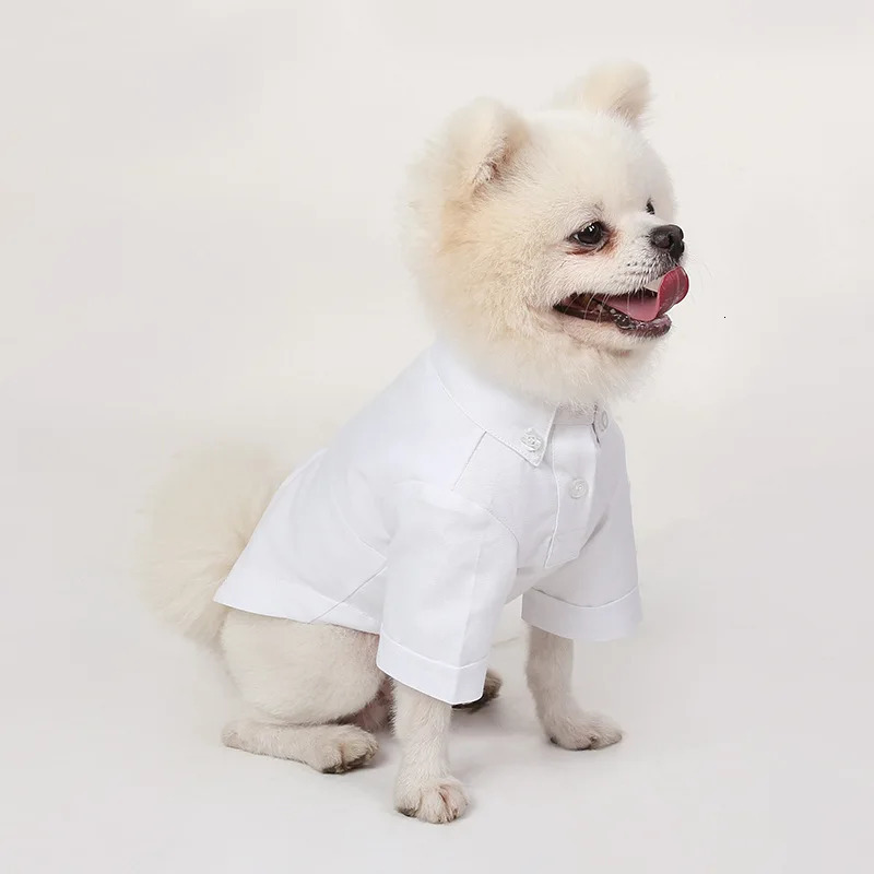 Spring and Autumn Pet Bottom Shirts Ultra Thin Dog Clothing Boutique Pet Fashion Clothing 250318