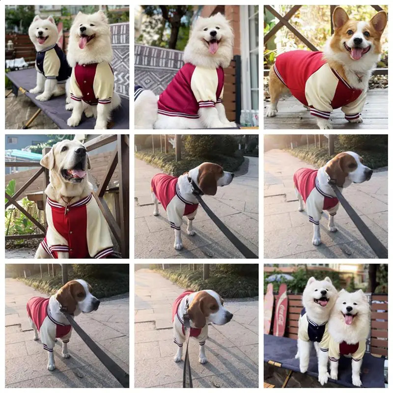M7XL Warm Big Dog Baseball Set Autumn and Winter Clothing Golden Retriever Labrador Sweater Thick Style 250318