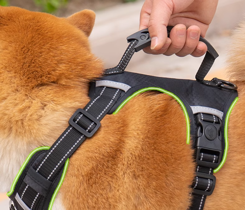 Durable Dog Harness Leash Set - Comfort Fit for Active Canines