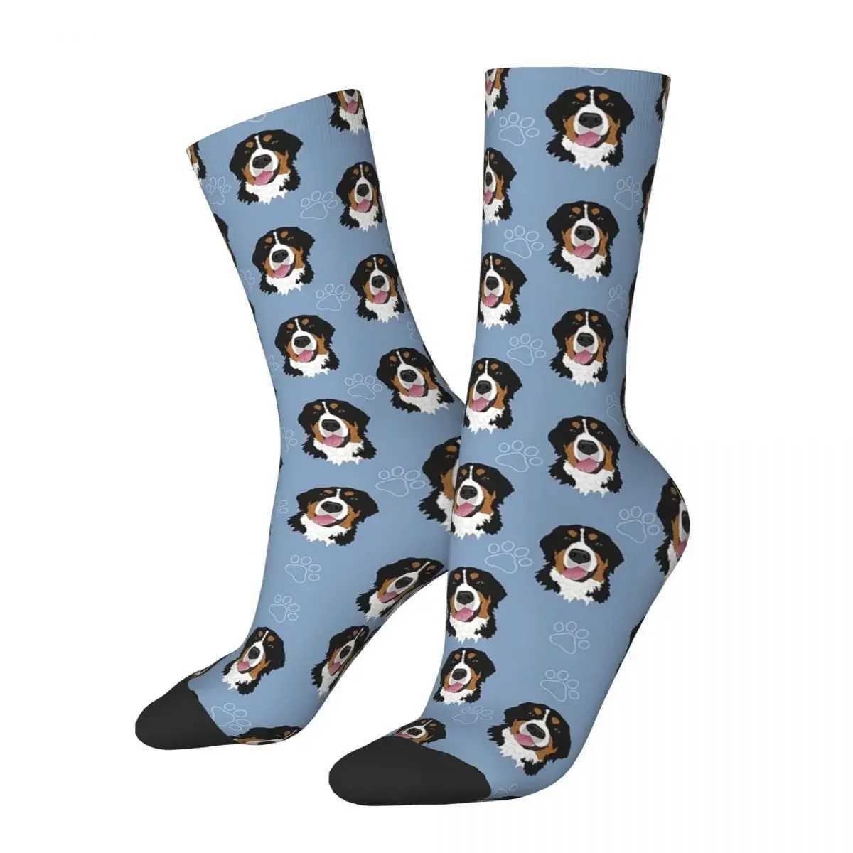 Bern Mountain Dog Pattern Blue Socks Harajuku High Quality Long Socks Four Seasons Mens Gift Accessories X250319