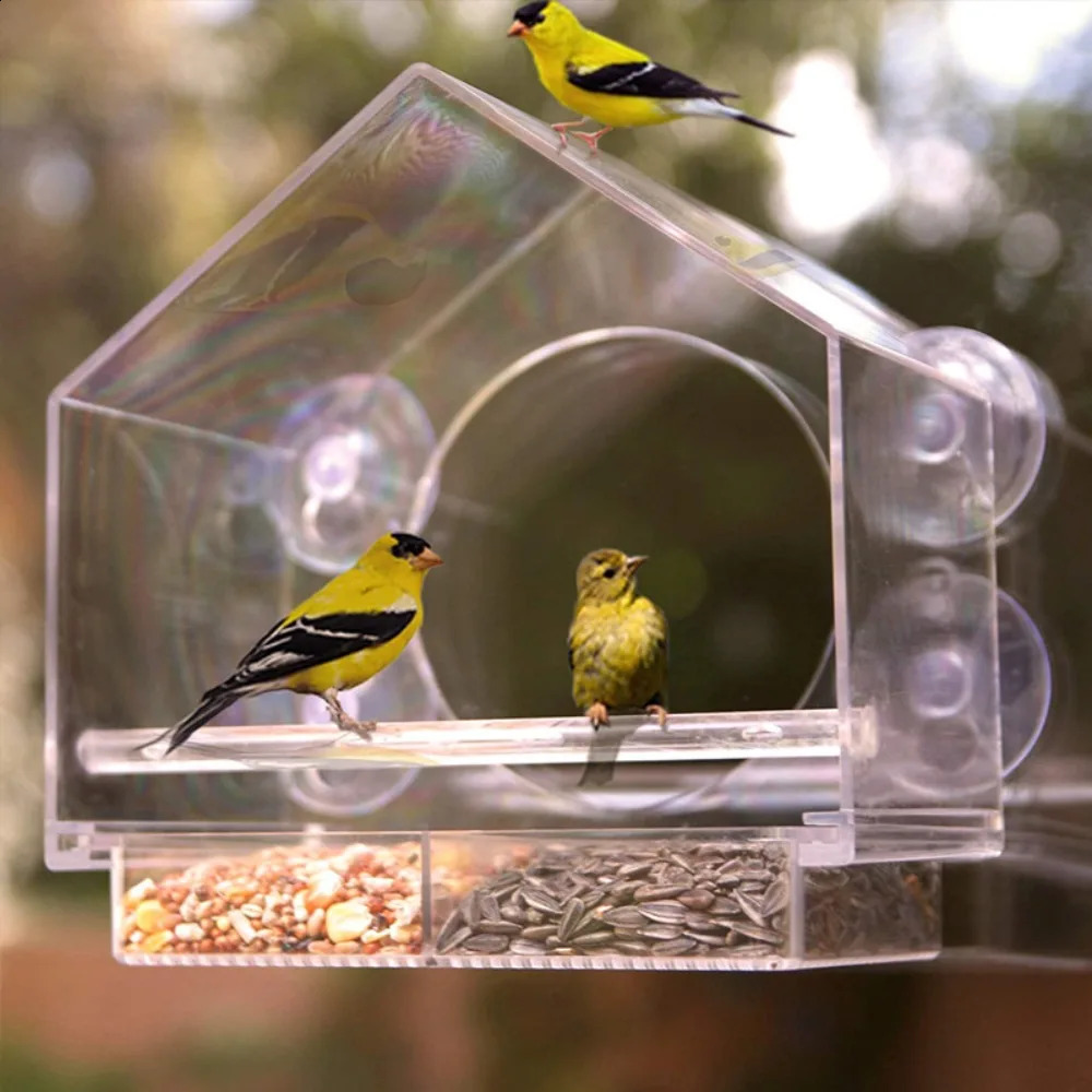 Acrylic Clear Glass Window Birds Hanging Feeder Birdhouse Food Feeding House Table Seed Peanut Suction Cup 250318