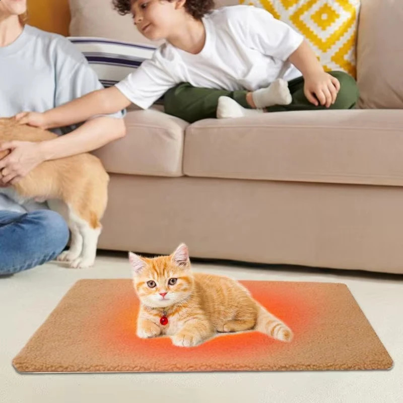 pet mat sfdgfr xfbfdb vfdgshxcb vcbfdbgfd 250312