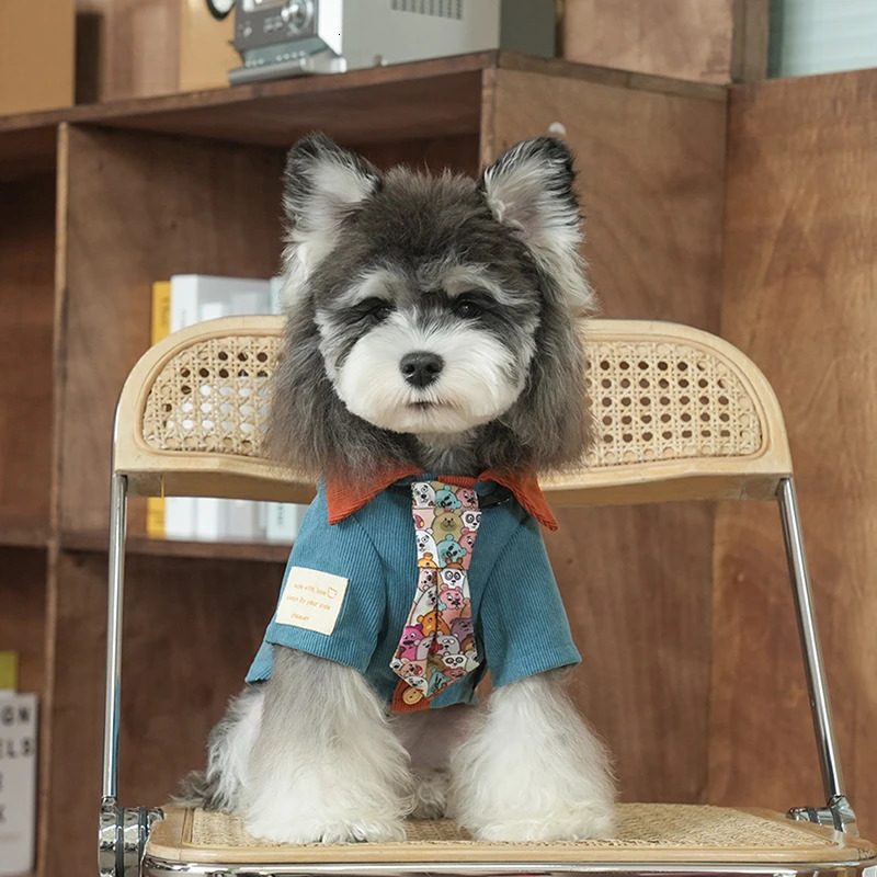 Pet clothes spring and autumn small dog puppy kitten shirt 250318