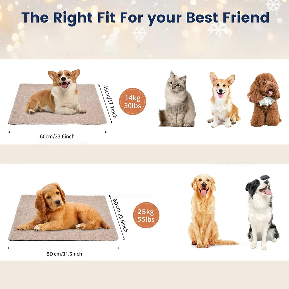 pet mat sfdgfr xfbfdb vfdgshxcb vcbfdbgfd 250312