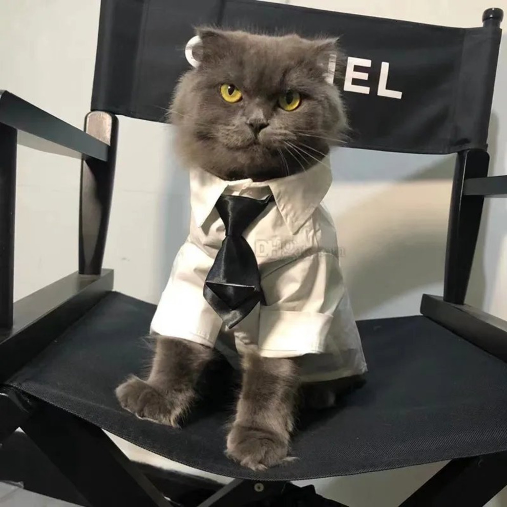 Designer Harnesses Leashes Set Soft Air Mesh Adjustable Pet Harness Pets Bandanas PU Leather Dog Collars for Small Dogs Cat French Bulldog Black XXL A