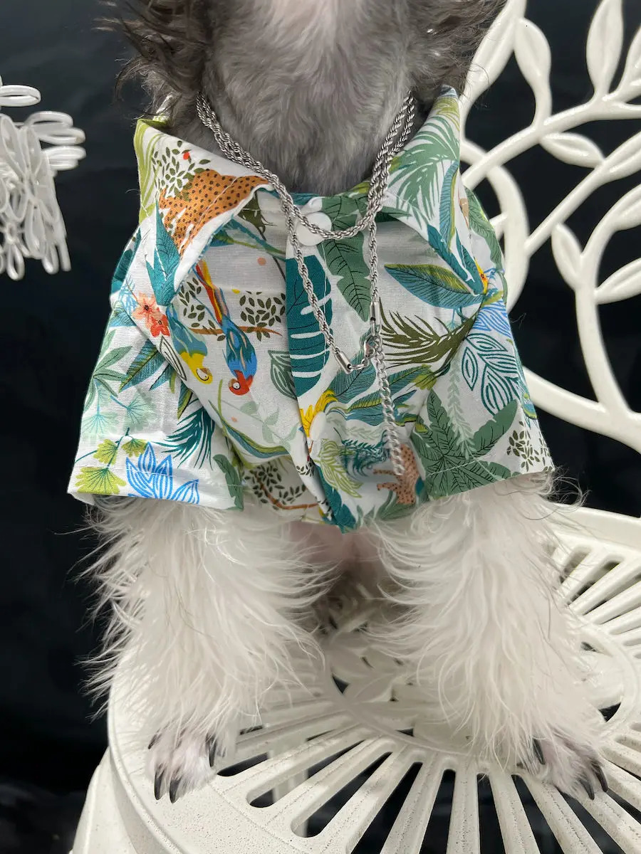 Pet clothes summer thin cat and dog pattern shirt Teddy Schnauzer 250318