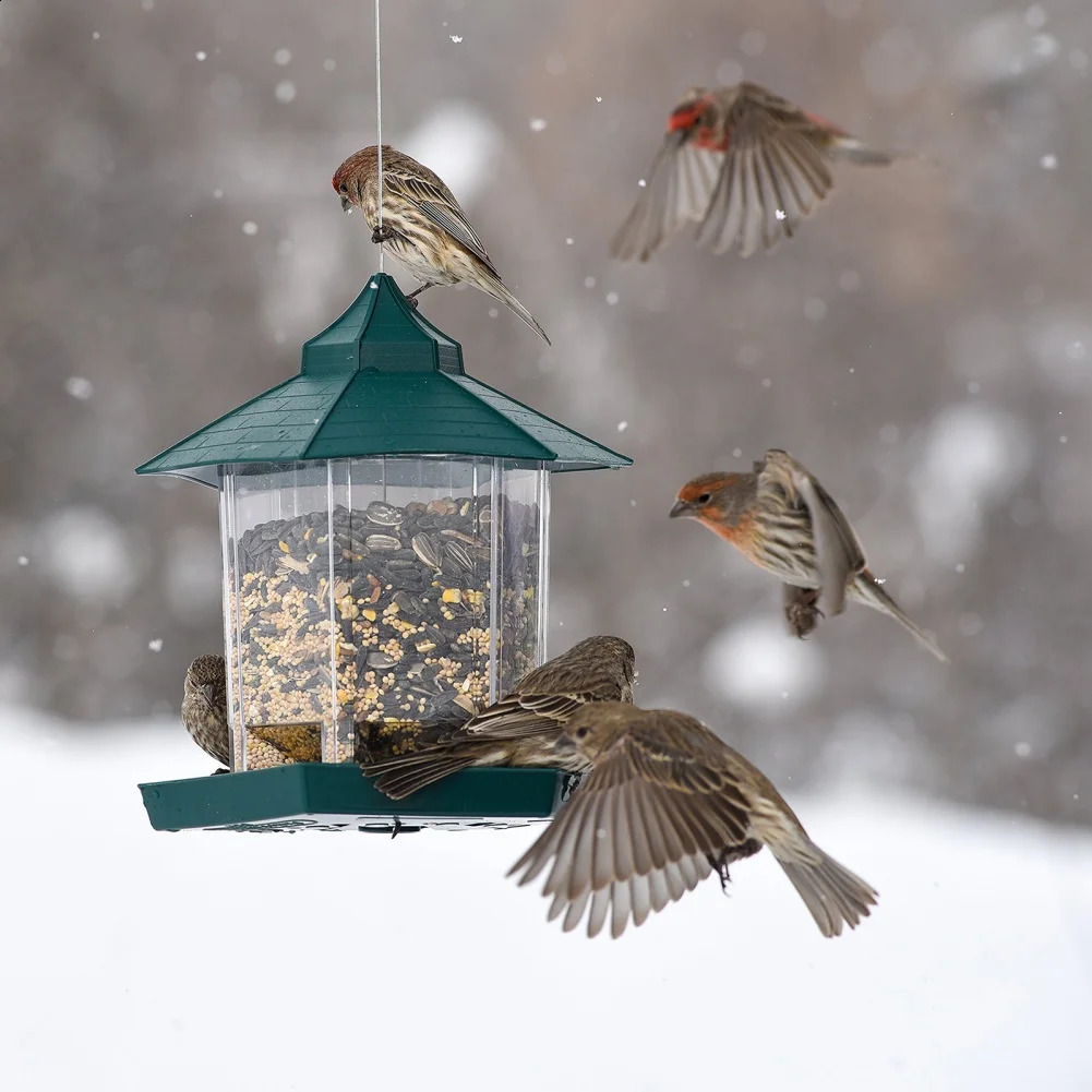 Waterproof bird feeder garden terrace hanging wild large capacity pet 250318