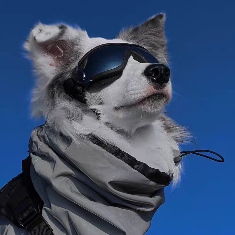 Large Dog Goggles with Wind & UV Protection - Comfortable Eye Wear