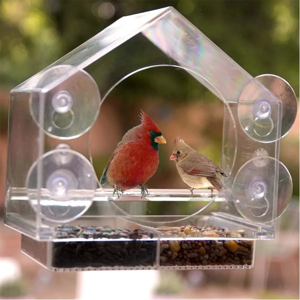 Acrylic Clear Glass Window Birds Hanging Feeder Birdhouse Food Feeding House Table Seed Peanut Suction Cup 250318