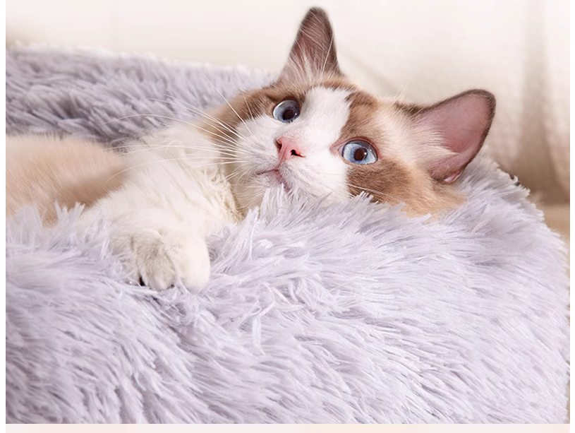 Comfortable Sleeping Bed for Pets - Durable Cat Nest and Dog Sofa Mat for Year-Round Use