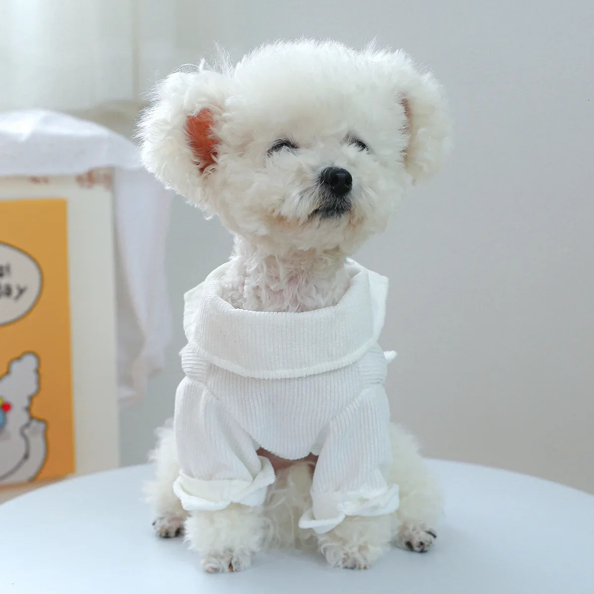 Denim Blue Shirt Costumes for Small Dogs Puppy Autumn Clothes XS XL Boy Uniform Pugs Chihuahua Apparel Yorkshire Terrier Suits 250318
