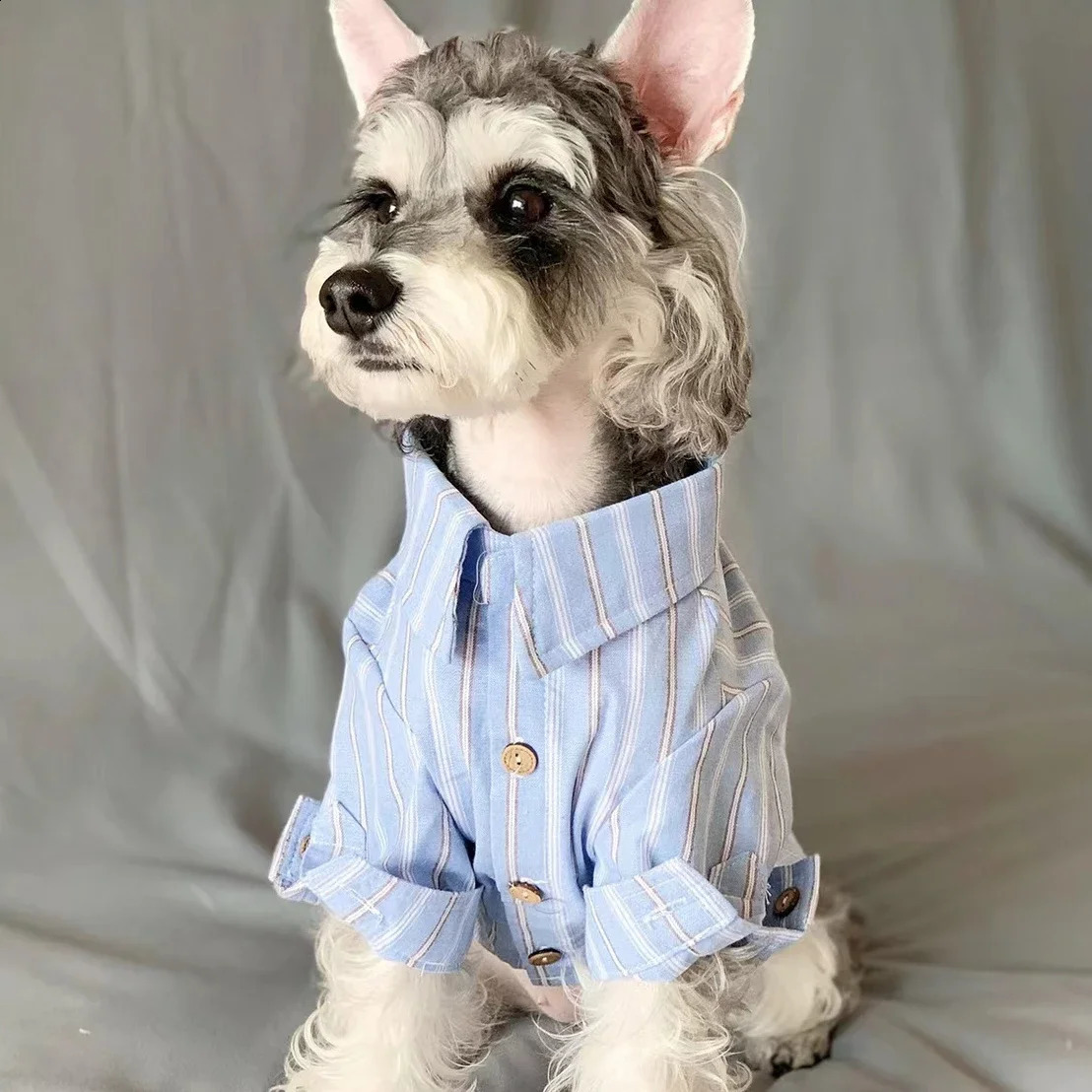 Pet clothing puppies cats fine stripe shirts 250318
