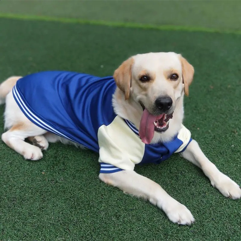 M7XL Warm Big Dog Baseball Set Autumn and Winter Clothing Golden Retriever Labrador Sweater Thick Style 250318