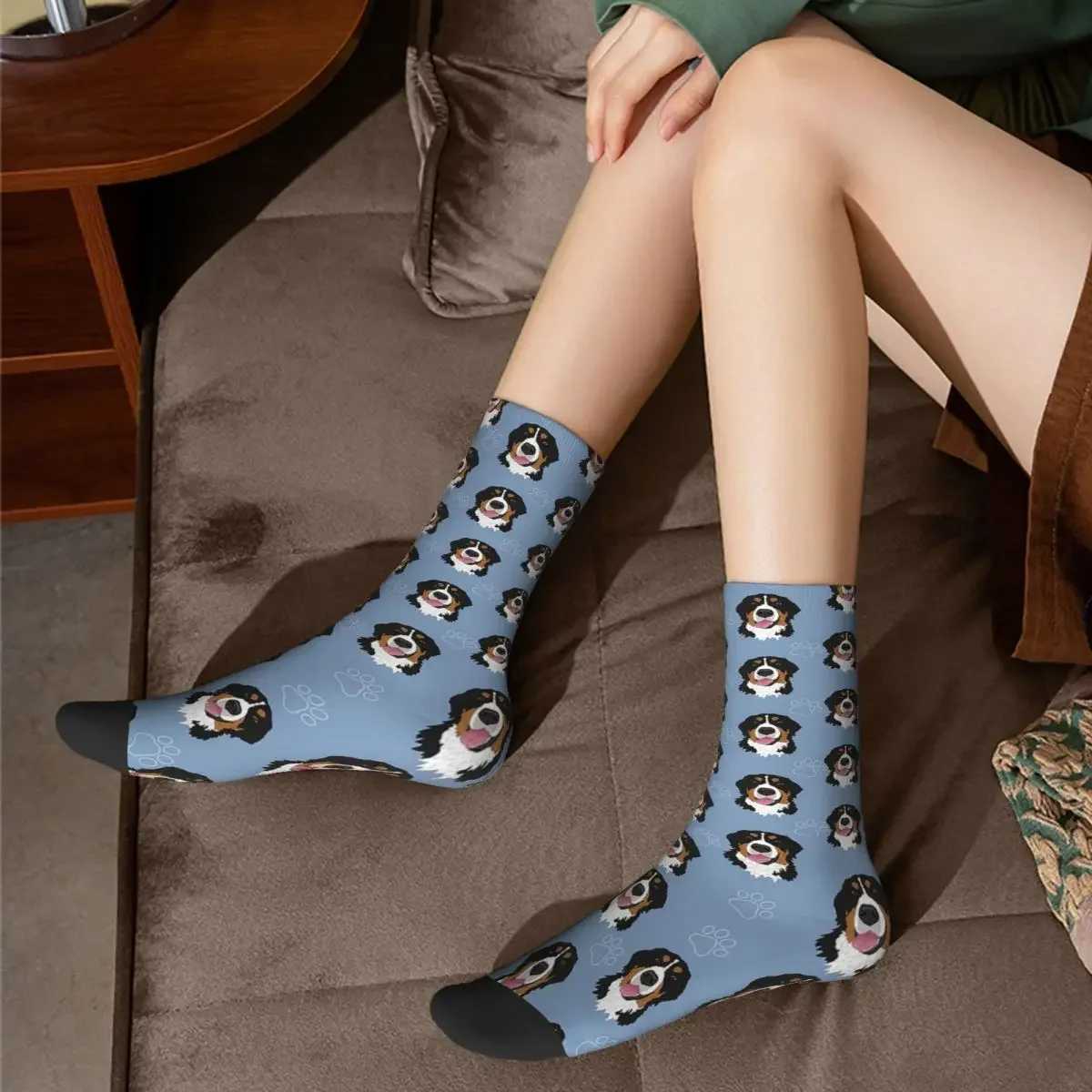 Bern Mountain Dog Pattern Blue Socks Harajuku High Quality Long Socks Four Seasons Mens Gift Accessories X250319