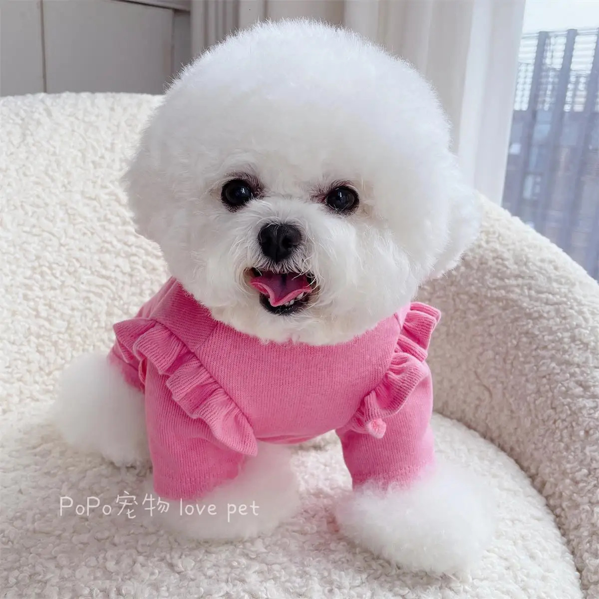 Ruffle Bottom Shirt Dog Clothing Lake Blue Dog Clothing Cat Korean Fashion Spring and Autumn Set Bichon Girls Pet Products 250318