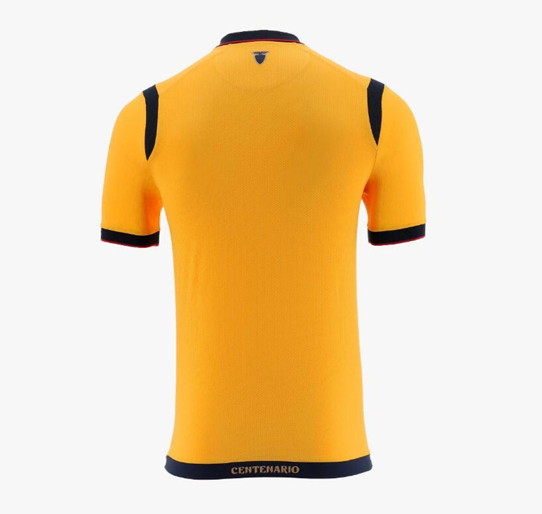 Ecuador 2025 Centenary Soccer Jerseys Home Away National Team 25 26 IBARRA MENA PRECIADO High Quality Men Kids Kit Football Shirt Uniform