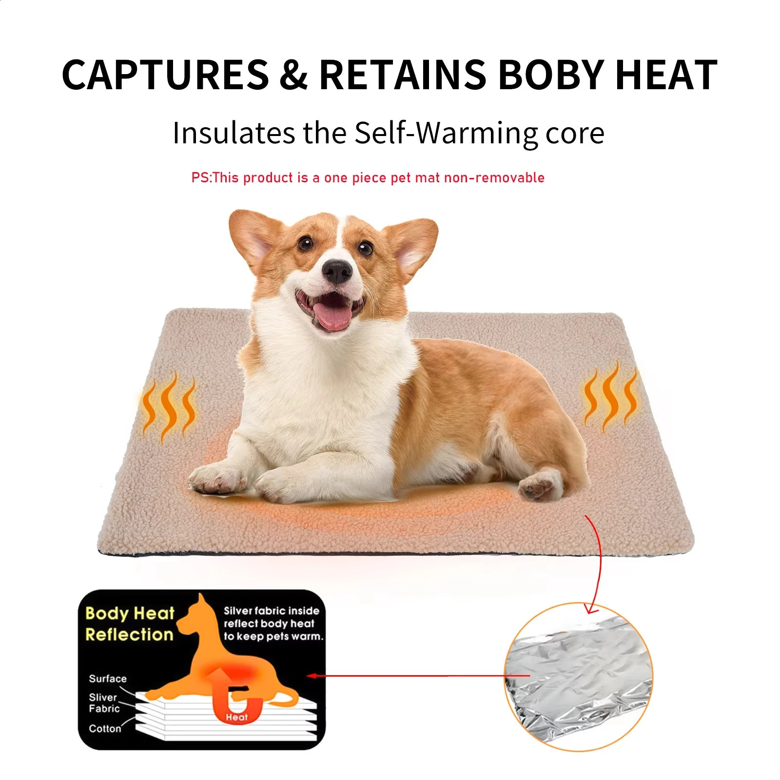 pet mat sfdgfr xfbfdb vfdgshxcb vcbfdbgfd 250312