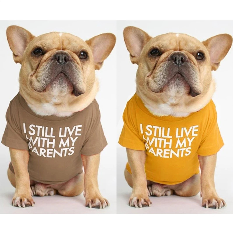 Small and mediumsized dog printed letter Tshirt cotton breathable pet clothing puppy shirt spring summer 250318