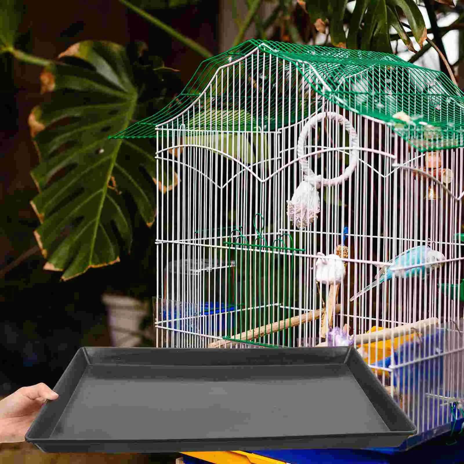 2 pieces of dog box tray replacement birdcage parrot potty rabbit bottom small pet product cage accessories 250318