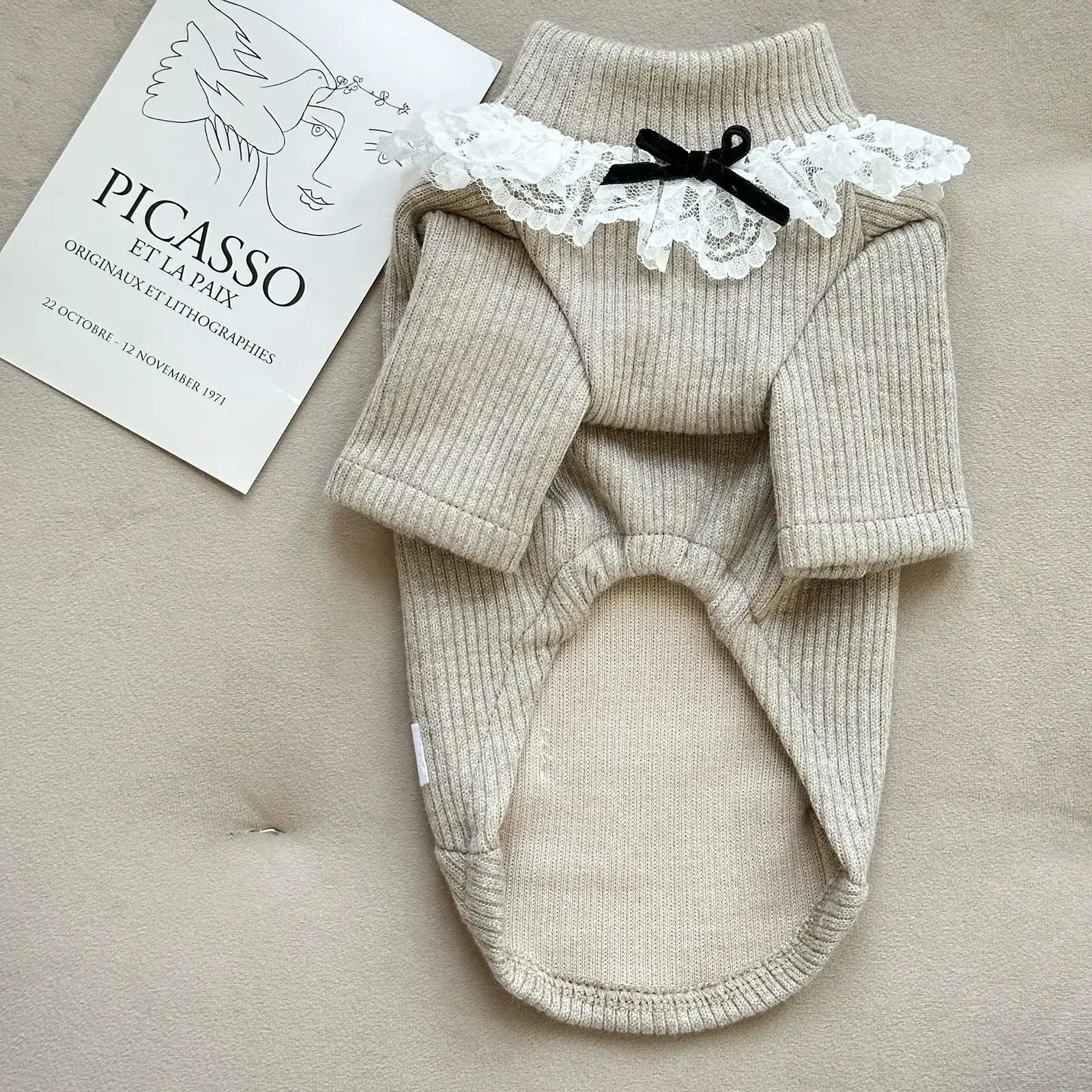 Lace Collar Base Shirts Dog Clothes Solid Color Small Dogs Clothing Kawaii Fashion Spring Autumn Outfits Girl Maltese Pet Items 250318