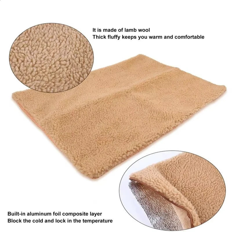 pet mat sfdgfr xfbfdb vfdgshxcb vcbfdbgfd 250312