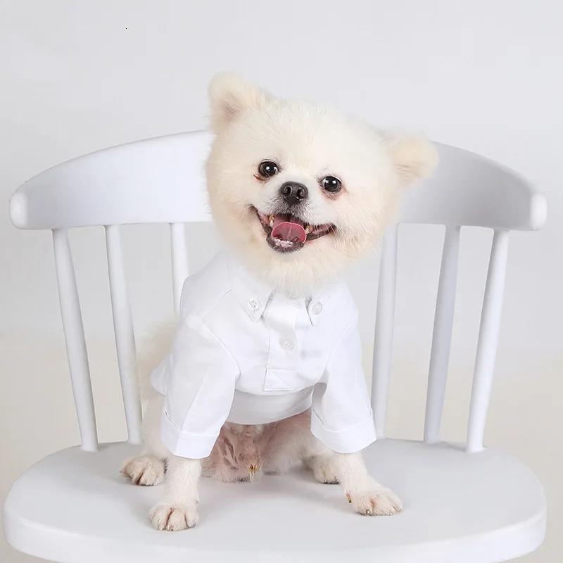 Spring and Autumn Pet Bottom Shirts Ultra Thin Dog Clothing Boutique Pet Fashion Clothing 250318