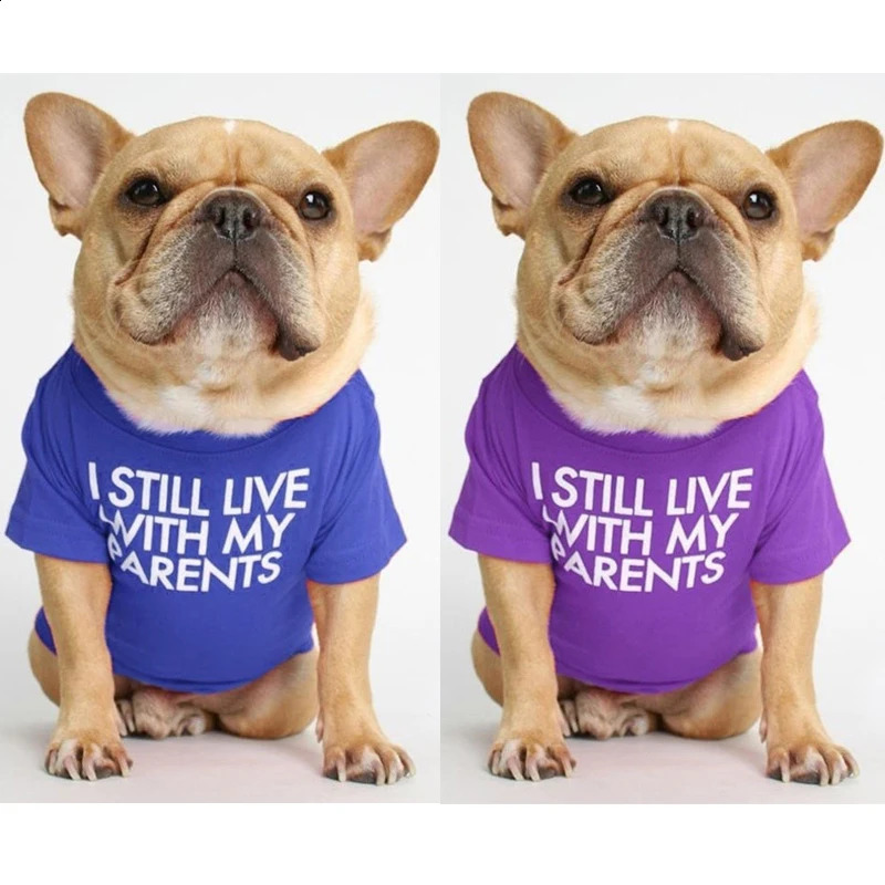 Small and mediumsized dog printed letter Tshirt cotton breathable pet clothing puppy shirt spring summer 250318