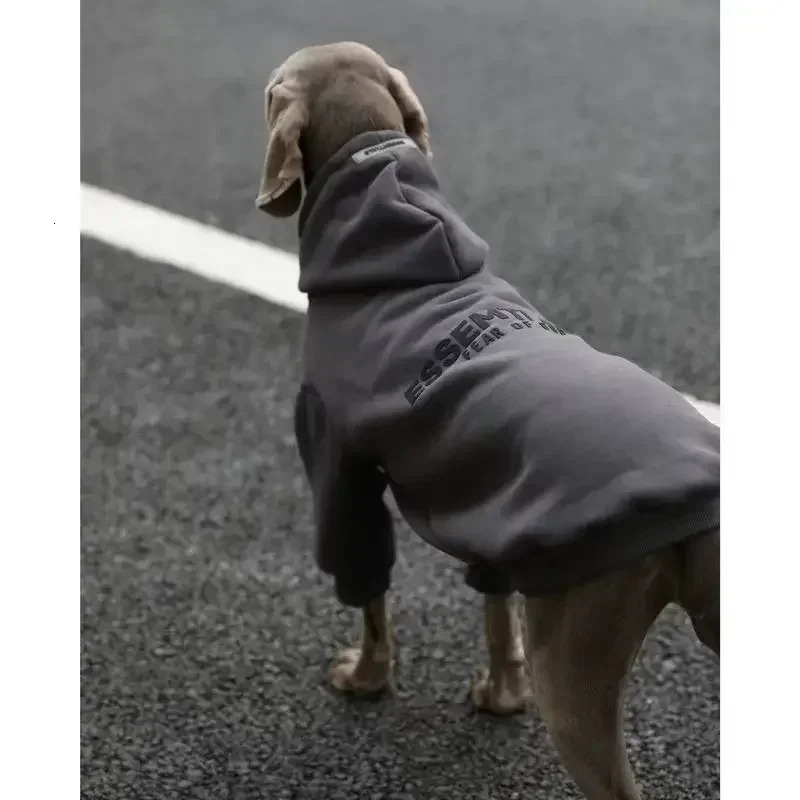 large pet dog clothing autumn and winter set with thick colored sealed British sweater 250318