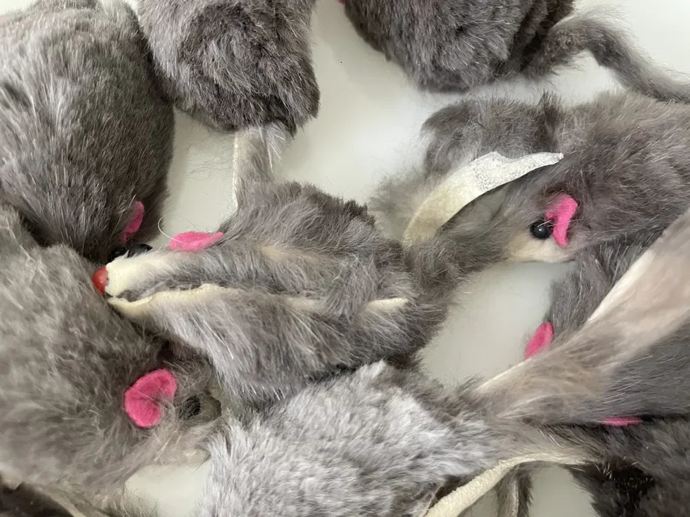 10Pcs Plush Simulation Mouse Interactive Cat Pet Catnip Teasing Toy for Kitten Gifts Supplies 250320
