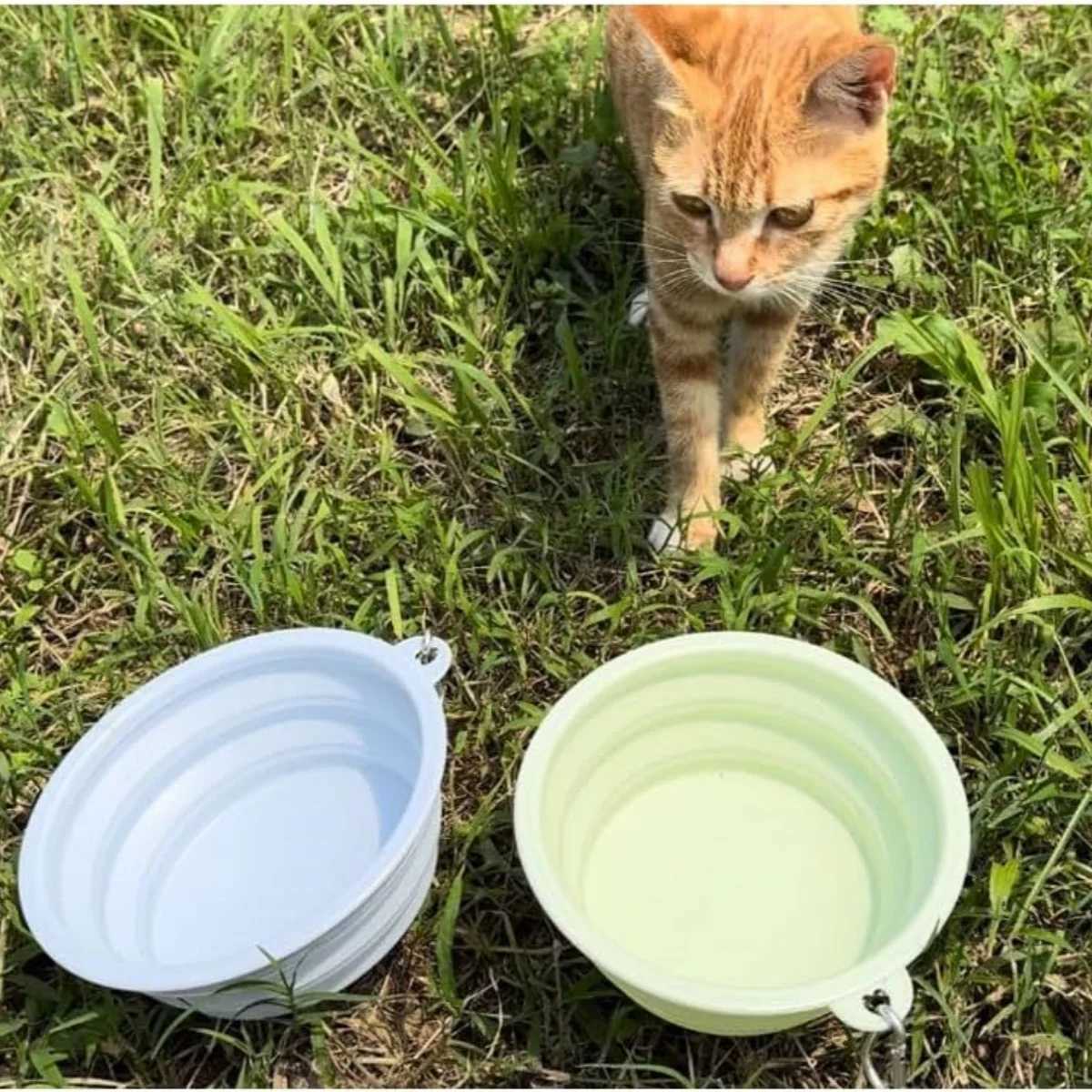 2pcs Collapsible Pet Silicone Dog Food Water Bowl Outdoor Camping Travel Portable Folding Supplies Dishes with Carabiner Y250319