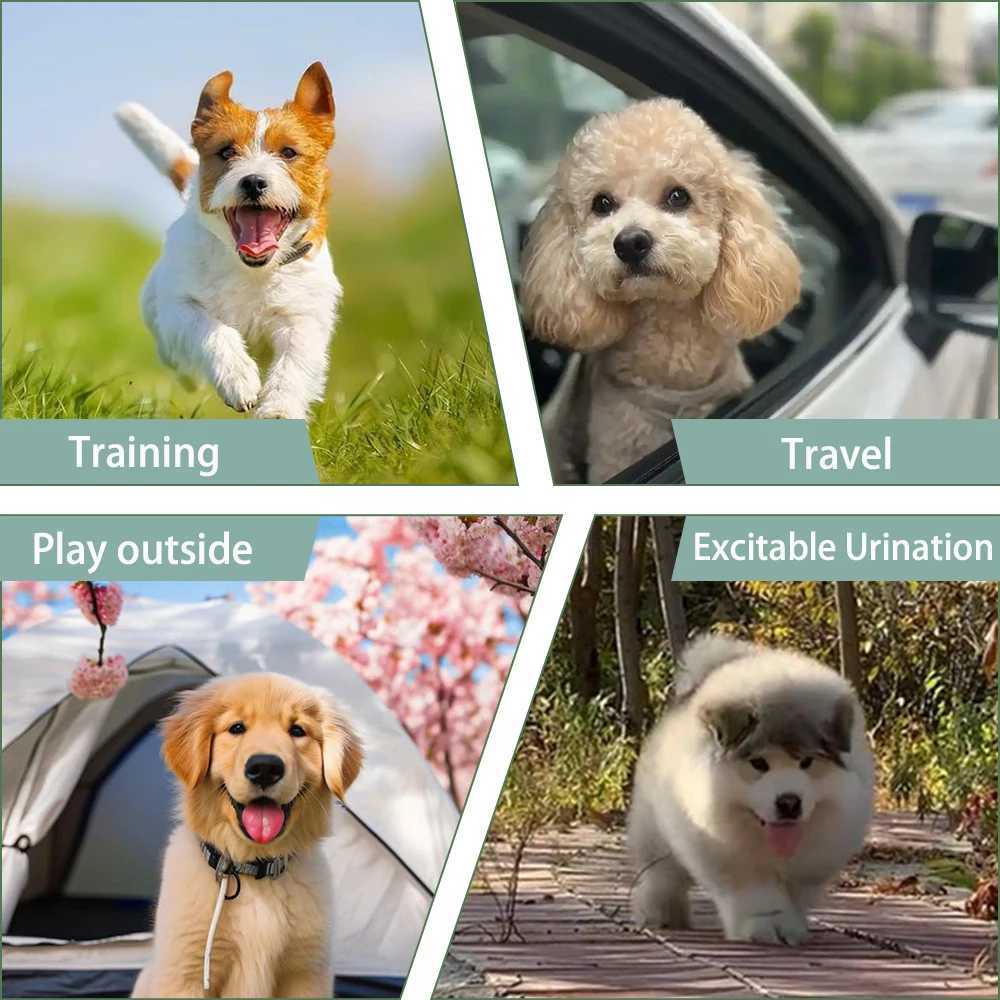 1pc Reusable Female Dog Diapers Solid Color High Absorbent Doggie Puppy Nappies 5 Sizes Adjustable Pet Panties for Girl Dogs Y250320